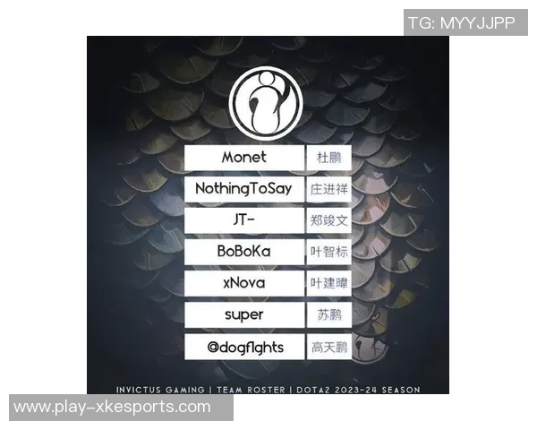 IG战队的荣耀与挑战DOTA2背后的奋斗与坚持之路