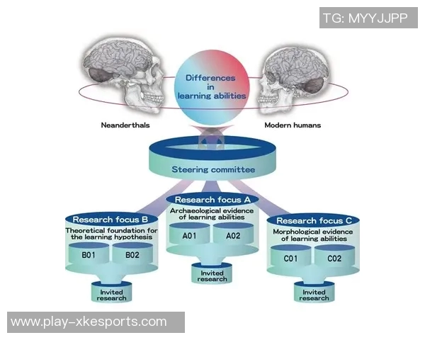 数据分析BLG灵活性表现的多维度探讨与实证研究 数据分析BLG灵活性表现的多维度探讨与实证研究